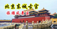 操了骚逼大片中国北京-东城古宫旅游风景区